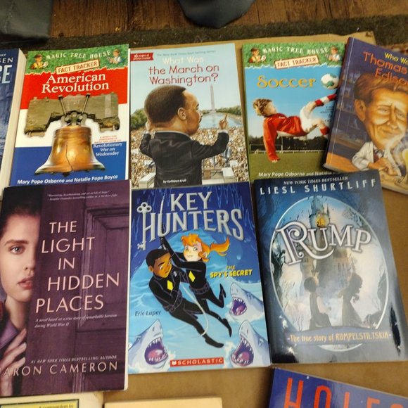 Large LOT of WWII, Holocaust, Survivor Teen Books from Scholastic - Picture 4 of 6